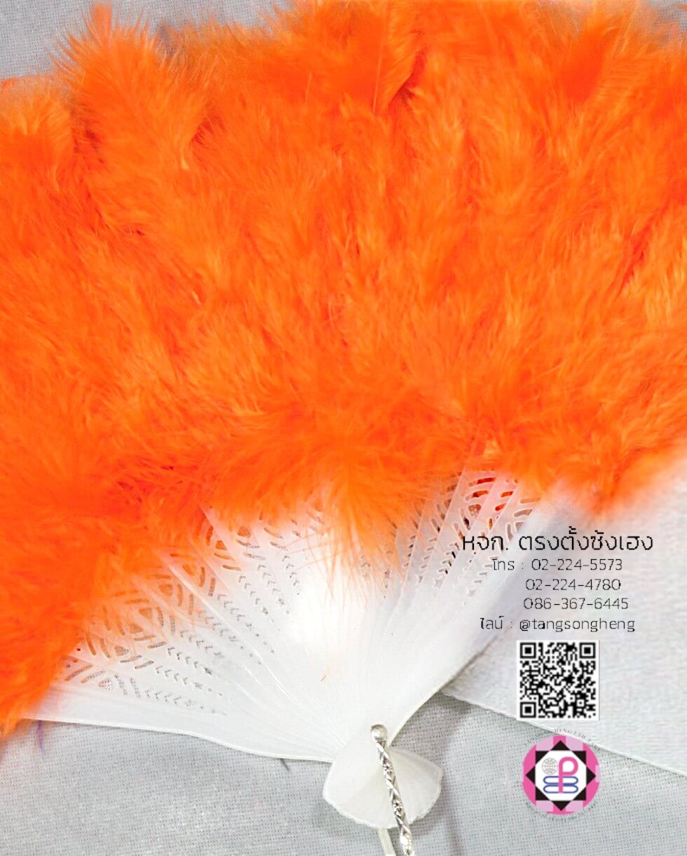 พัด, พัดกระดาษ, พัดสเปน, พัดจีน, พัดมือ, พัดประดับ, รำพัด