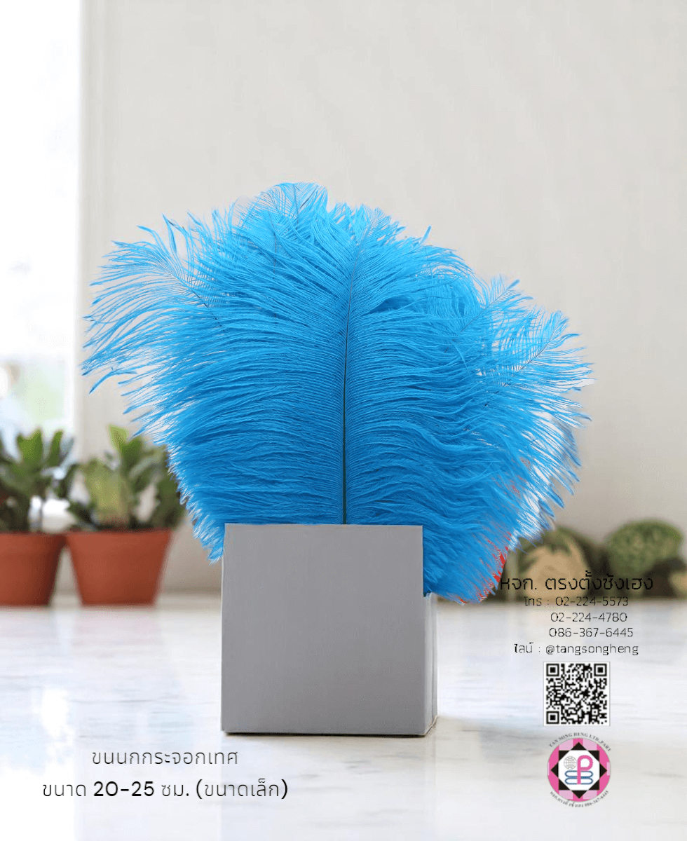ขนนกกระจอกเทศเป็นก้าน ขนาดเล็ก 20-25 ซม. สีฟ้าน้ำทะเล แพ็ค 10 ก้าน