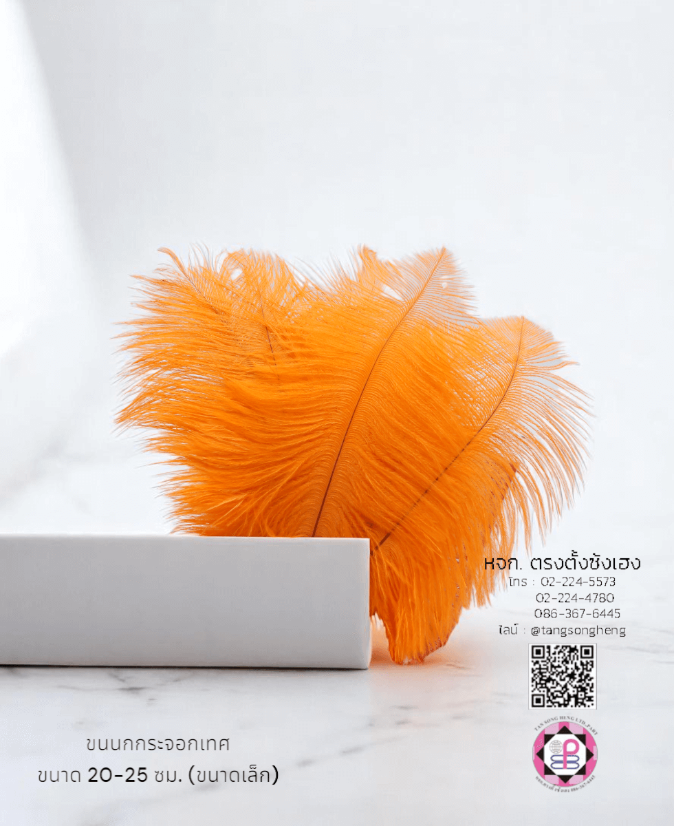 ขนนกกระจอกเทศเป็นก้าน ขนาดเล็ก 20-25 ซม. สีส้ม แพ็ค 10 ก้าน