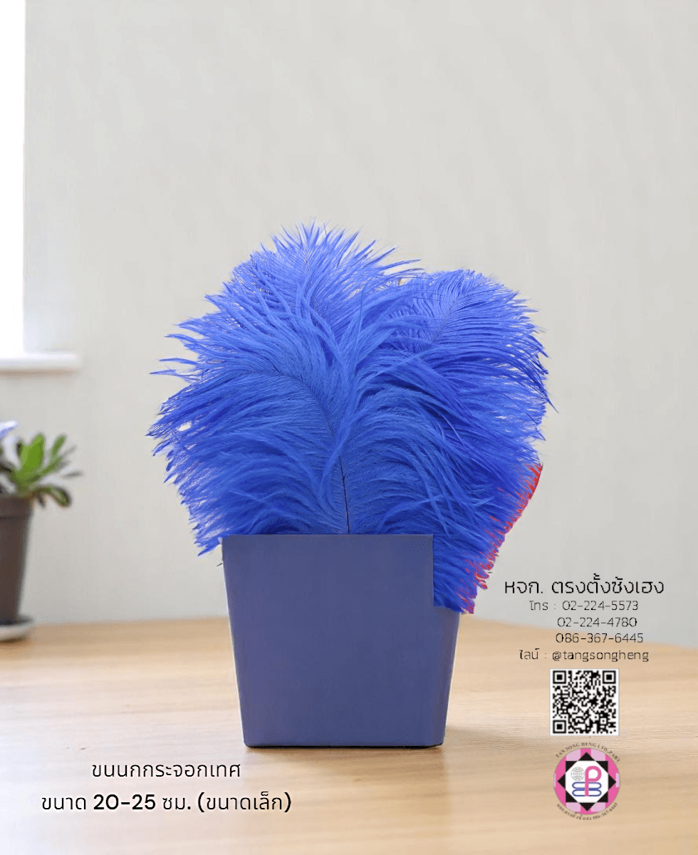 ขนนกกระจอกเทศเป็นก้าน ขนาดเล็ก 20-25 ซม. สีน้ำเงิน