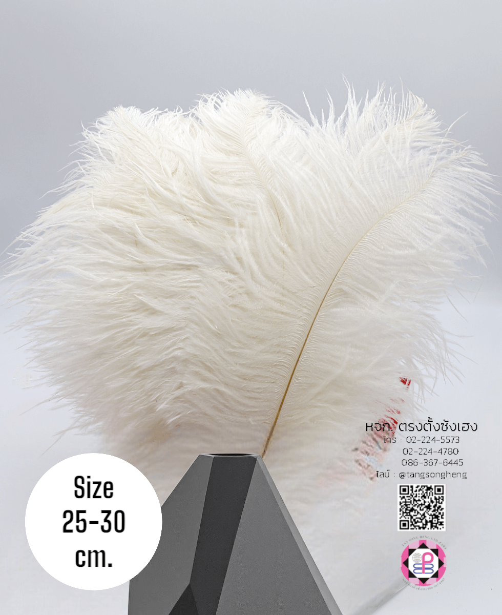 ขนนกกระจอกเทศเป็นก้าน ขนาดกลาง 25-30 ซม. สีขาว แพ็ค 10 ก้าน