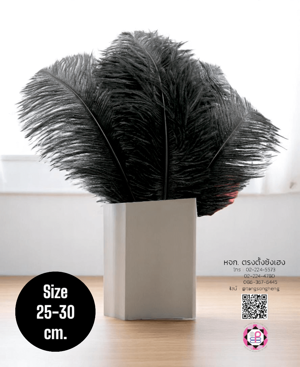 ขนนกกระจอกเทศเป็นก้าน ขนาดกลาง 25-30 ซม. สีดำ แพ็ค 10 ก้าน