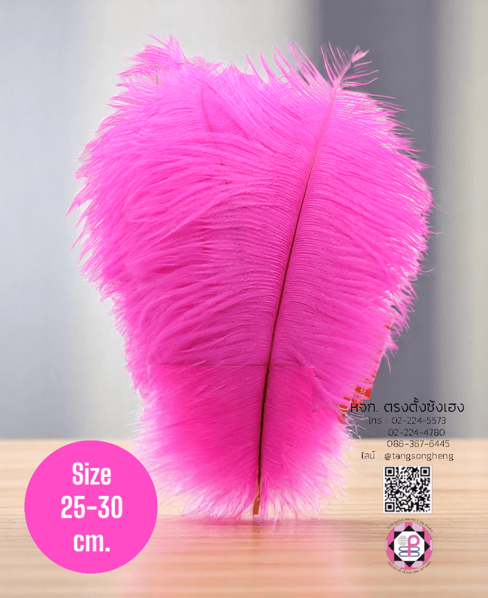 ขนนกกระจอกเทศเป็นก้าน ขนาดกลาง 25-30 ซม. สีชมพูเข้ม แพ็ค 10 ก้าน