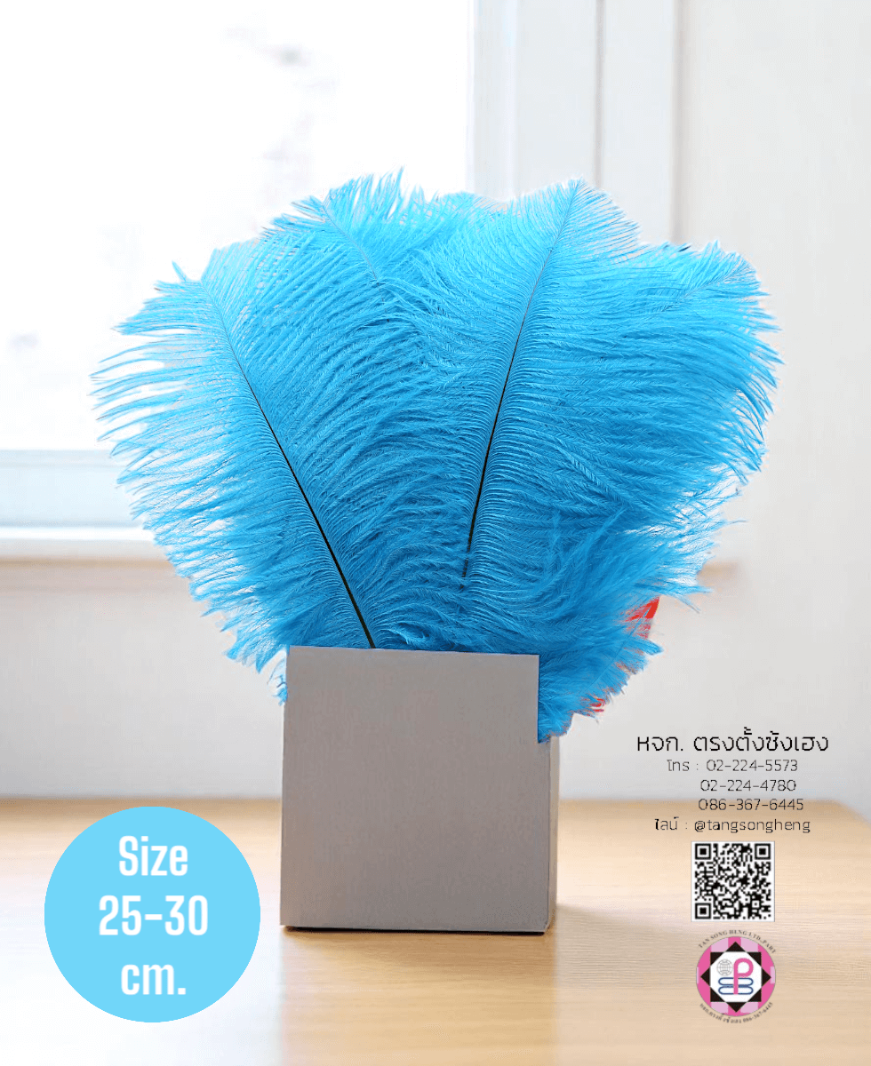 ขนนกกระจอกเทศเป็นก้าน ขนาดกลาง 25-30 ซม. สีฟ้าทะเล แพ็ค 10 ก้าน