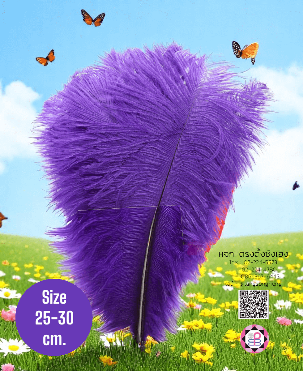 ขนนกกระจอกเทศเป็นก้าน ขนาดกลาง 25-30 ซม. สีม่วงเข้ม แพ็ค 10 ก้าน