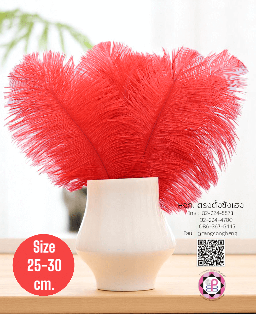 ขนนกกระจอกเทศเป็นก้าน ขนาดกลาง 25-30 ซม. สีแดง แพ็ค 10 ก้าน