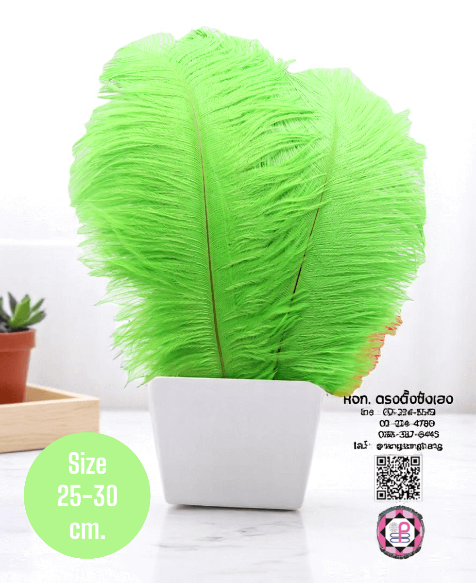 ขนนกกระจอกเทศเป็นก้าน ขนาดกลาง 25-30 ซม. สีเขียวตอง แพ็ค 10 ก้าน