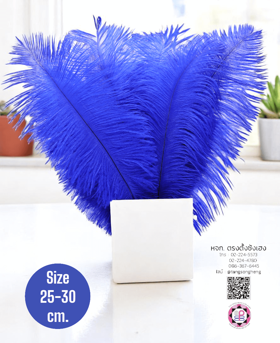 ขนนกกระจอกเทศเป็นก้าน ขนาดกลาง 25-30 ซม. สีน้ำเงิน แพ็ค 10 ก้าน