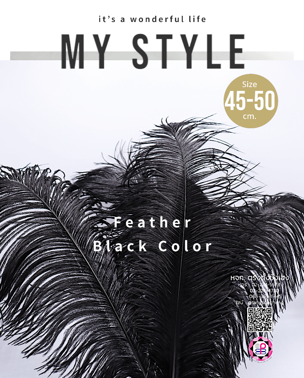 ขนนกกระจอกเทศเป็นก้าน ขนาด 45-50 ซม. สีดำ แพ็ค 5 ก้าน