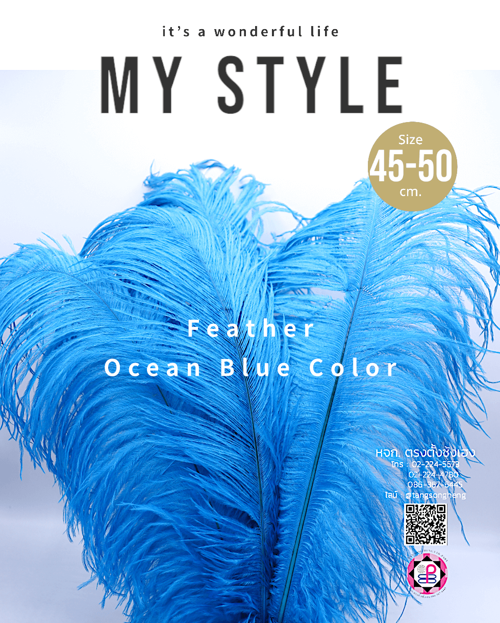 ขนนกกระจอกเทศเป็นก้าน ขนาด 45-50 ซม. สีฟ้าทะเล