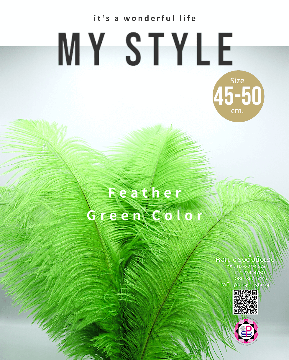 ขนนกกระจอกเทศเป็นก้าน ขนาด 45-50 ซม. สีเขียวตอง แพ็ค 5 ก้าน